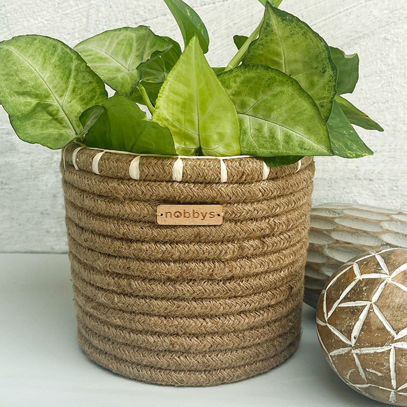 Jute Rope Planter With Raffia Embroidery Edge (5.5"D x 5.5"H) Nobbys