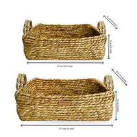 [Set of 2] Natural Golden Grass Coiled Storage Basket Nobbys